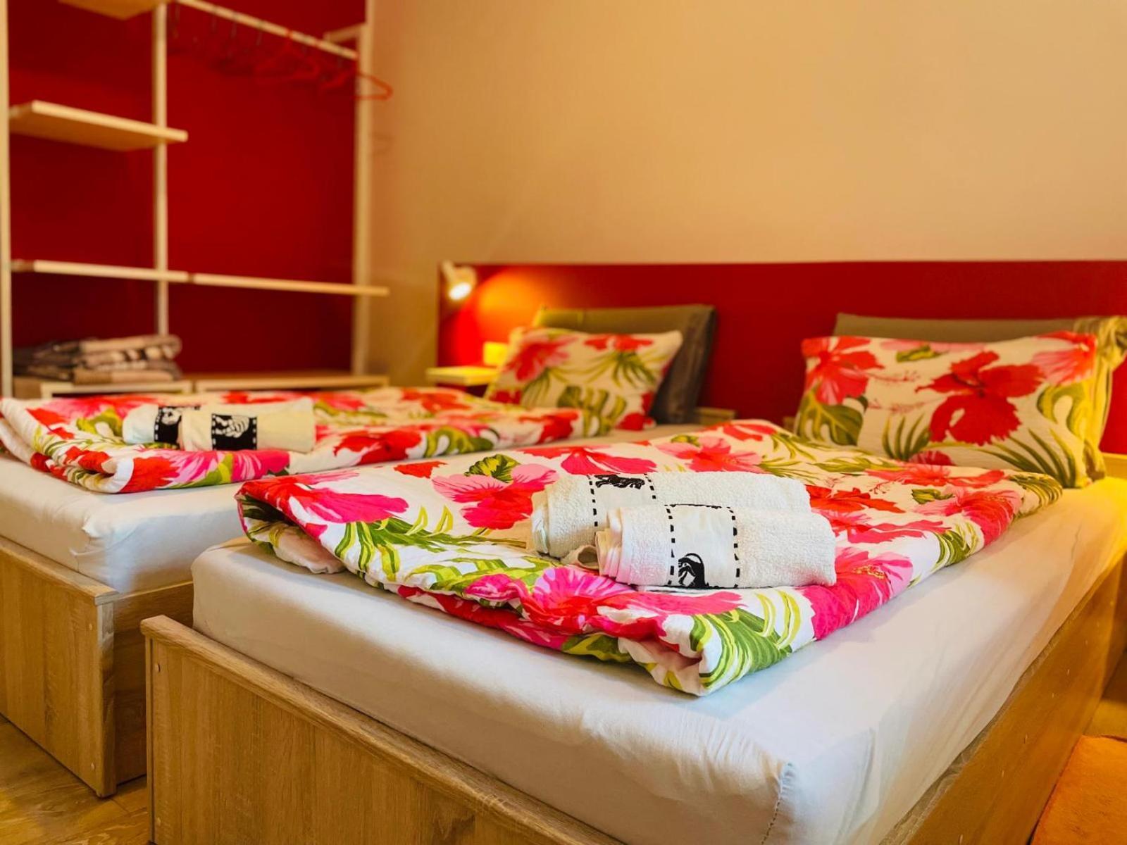 Boutique Apartment With Private Pool For Your Exclusive Use Новиград Экстерьер фото